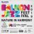 Balkonjazz Festival